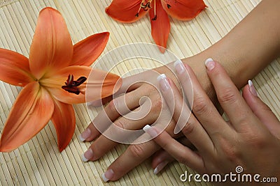 Nails with flower Stock Photo