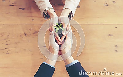 Hands adult business Team Work harmony Cupping young Plant and seeding Nurture grow Environmental and reduce global warming help e Stock Photo