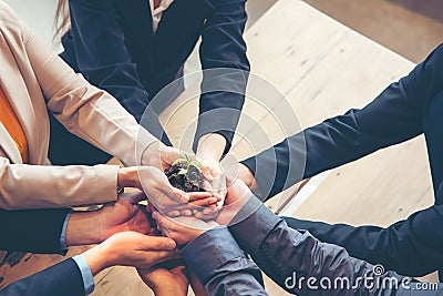 Hands adult business Team Work partnership harmony Cupping young Plant and seeding Nurture grow Stock Photo
