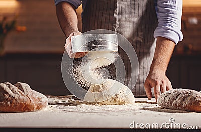 Hands of baker`s male knead dough Stock Photo