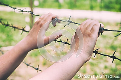 Hands and barbed wire. Stock Photo