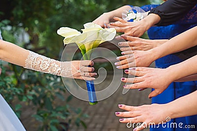 Hands of bridesmaids are drawn to a wedding bouquet of callas Stock Photo