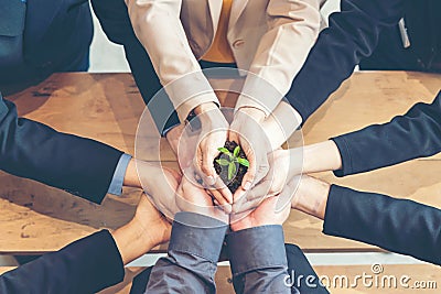 Hands business Team Work Cupping young Plant Nurture Environmental and reduce global warming earth. Stock Photo