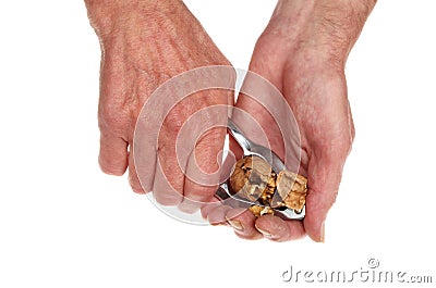 Hands cracking walnut Stock Photo