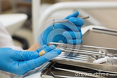 Hands dentist holding tooth and dental tools Stock Photo