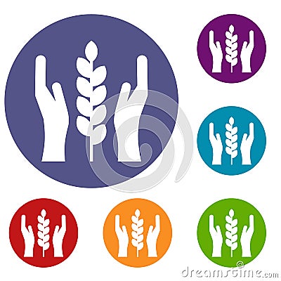 Hands and ear of wheat icons set Vector Illustration