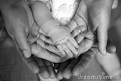 Hands of father, mother, keep little feet baby. Friendly happy family, hands families together black and white photo Stock Photo