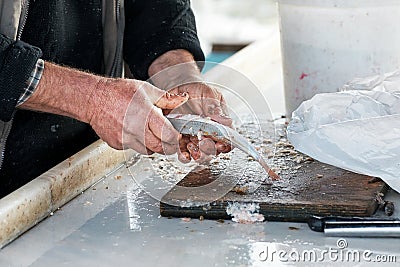 Worn hands of a fisherman cleaning fresh raw fish on a wooden cutting board over the counter Stock Photo