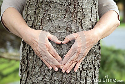 Hands forming heart on tree Stock Photo