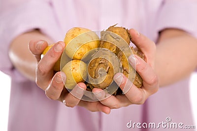 Hands full of fresh potatos Stock Photo