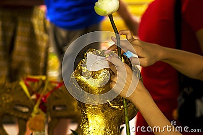 The hands of the girl close the gold plate on Buddha. Stock Photo