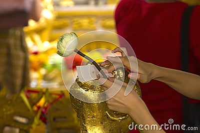 The hands of the girl close the gold plate on Buddha. Stock Photo