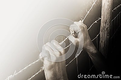 Hands grasping desperately barbed wire to get to the light Stock Photo