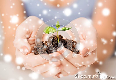 Hands with green sprout and ground Stock Photo