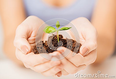 Hands with green sprout and ground Stock Photo