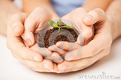 Hands with green sprout and ground Stock Photo