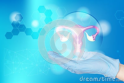 hands of a gynecologist doctor in gloves hold the uterus icon in the amniotic fluid as a symbol of female reproductive health, and Stock Photo