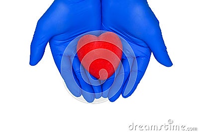 Hands and heart. Cardiology and heart disease concept. Hands of the doctor in blue gloves are holding red heart. Stock Photo