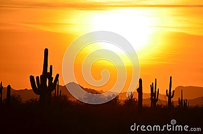 Hands Held to Heaven, Sun God Sets, Sonoran Desert: Valley of the Sun Stock Photo