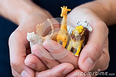 Hands holding figures of wild animals: giraffe, zebra, tiger, bear and deer. World Animal Day concept. Soft focus Stock Photo