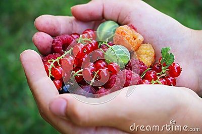 Hands holding fresh summer mix of colourful berries Stock Photo