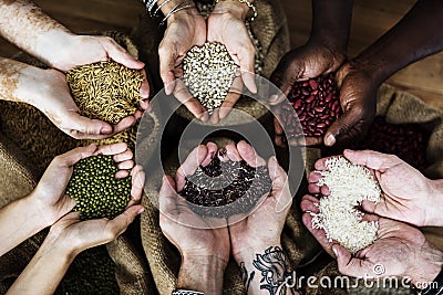 Hands holding grains and photoshooting Stock Photo