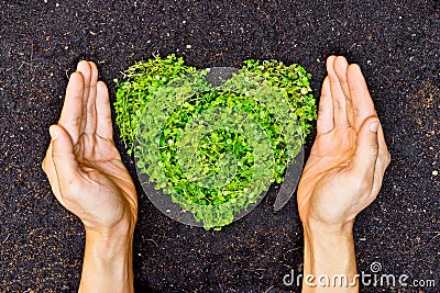 Hands holding green heart shaped tree Stock Photo