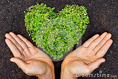 Hands holding green heart shaped tree Stock Photo