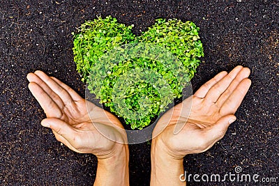 Hands holding green heart shaped tree Stock Photo