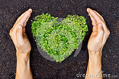 Hands holding green heart shaped tree Stock Photo