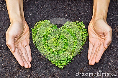 Hands holding green heart shaped tree Stock Photo