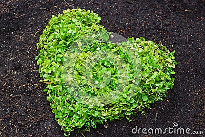 Hands holding green heart shaped tree Stock Photo