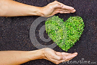 Hands holding green heart shaped tree Stock Photo