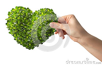Hands holding a heart shaped green leafs Stock Photo