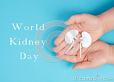 Hands holding a kidney, paper cut out, world kidney day, health problems, organ transplantation, medical issue Stock Photo