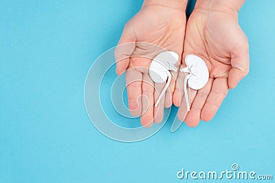 Hands holding a kidney, paper cut out, world kidney day, health problems, organ transplantation, medical Stock Photo