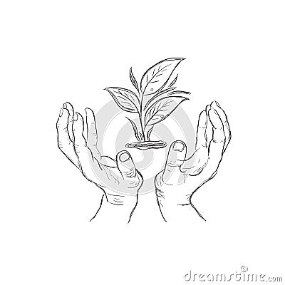 Hands holding plant, sketch style, vector illustration Vector Illustration