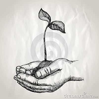 Hands holding plant sprout graphic illustration Vector Illustration