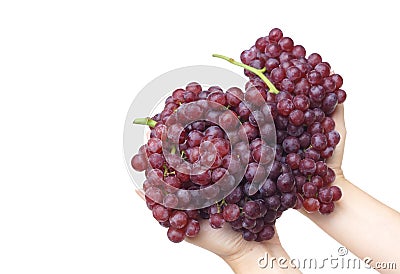 Purple seedless grapes Stock Photo