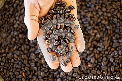 Roasted coffee beans in hand Stock Photo