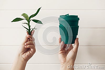Hands holding stylish reusable eco coffee cup and green bamboo leaves on white wooden background. Zero waste. Green Cup from Stock Photo
