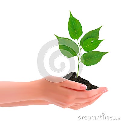 Hands holding young plant Vector Illustration