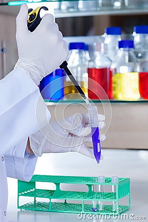 Hands of a lab technician using a pipette Stock Photo