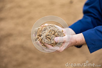 Hands of male farmworker holding handful of brewers grains Stock Photo