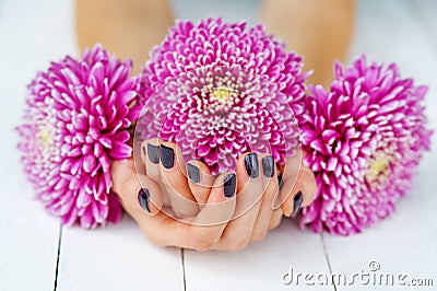 Hands with manicure and pink flower Stock Photo