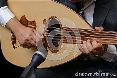 Hands of Musician Playing Note on Lute Stock Photo