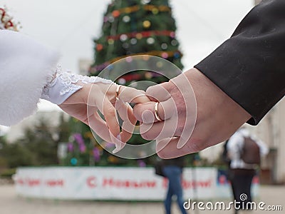 Hands of newly wedded on background of New Year tree Stock Photo