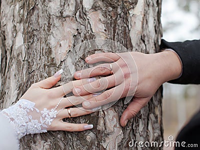 Hands of newly wedded on background of trunk of pine Stock Photo