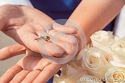 The hands of newlyweds hold the key to the lock of love, a symbol of a strong marriage. Wedding tradition. Hands of newlyweds Stock Photo