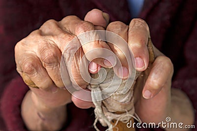 Hands of an old woman on a wooden crutch Stock Photo